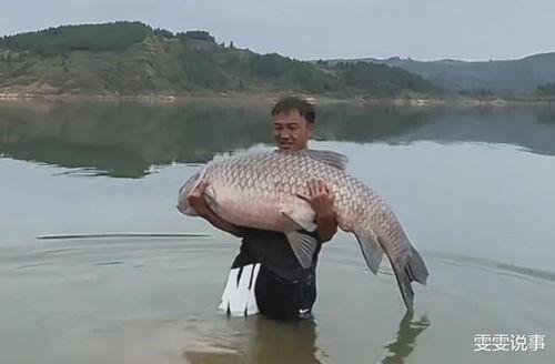 青鱼视频国产3,探索青春光影下的情感世界